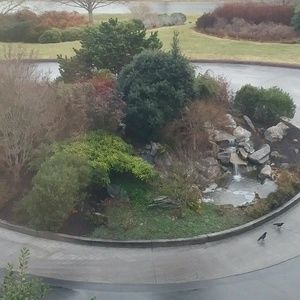 Meet your Posher, Claudia